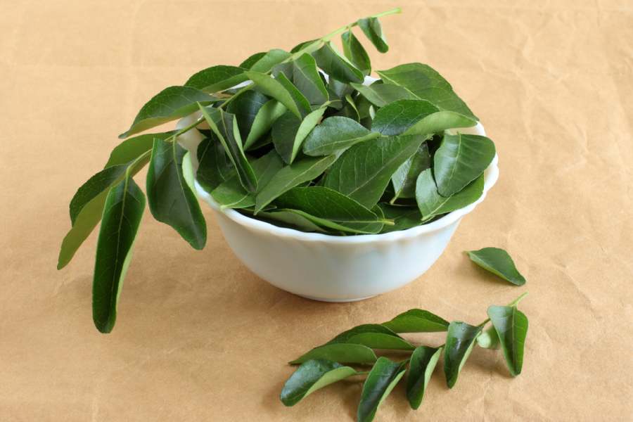 কারিপাতায় অ্যান্টিসেপটিক গুণও রয়েছে। 