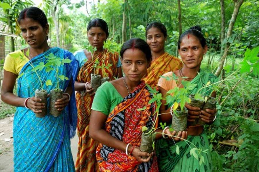 Rajasthan’s Piplantri village plants 111 tree saplings each time a girl child is born