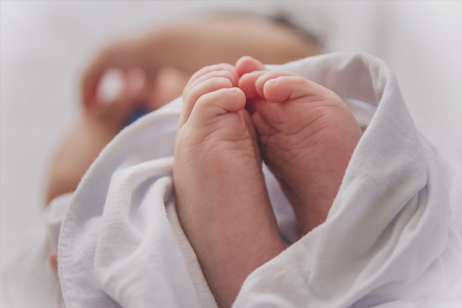 Rajasthan’s Piplantri village plants 111 tree saplings each time a girl child is born