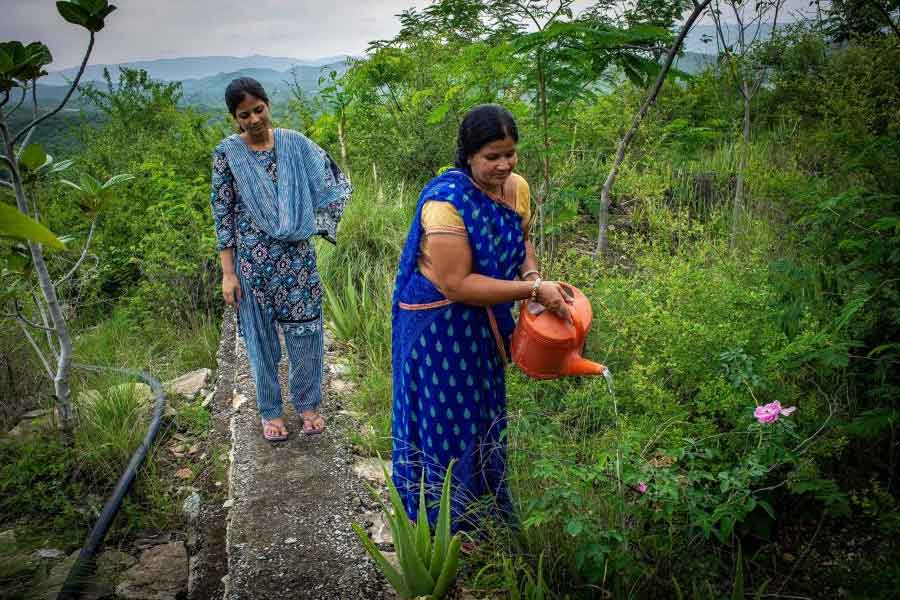 Rajasthan’s Piplantri village plants 111 tree saplings each time a girl child is born