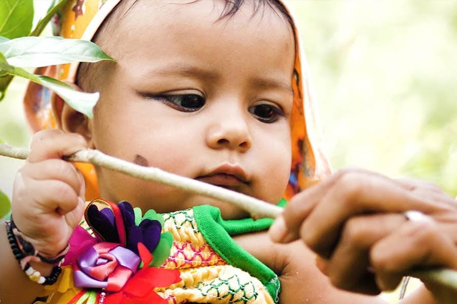 Rajasthan’s Piplantri village plants 111 tree saplings each time a girl child is born