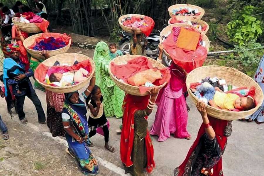 Rajasthan’s Piplantri village plants 111 tree saplings each time a girl child is born