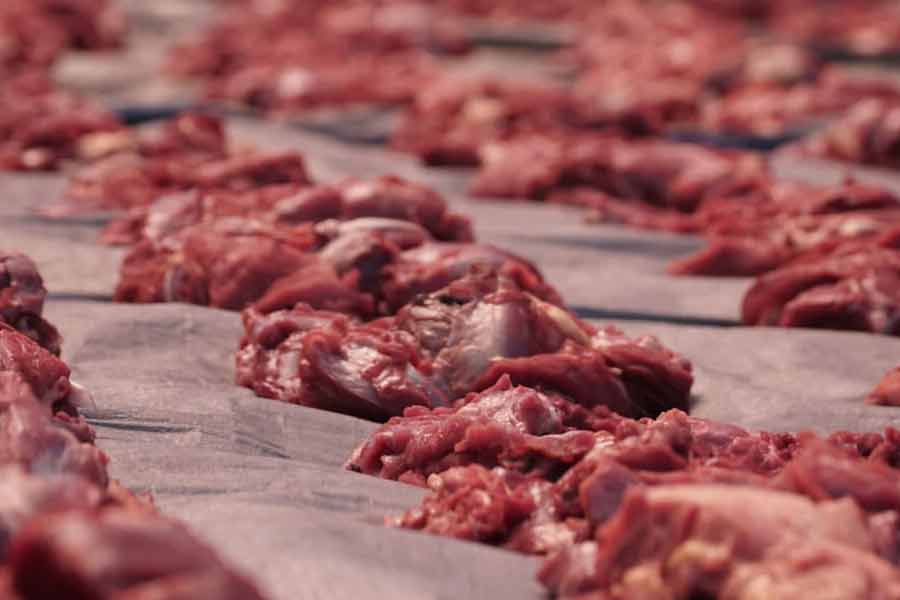 অ্যালানের স্ত্রীর দাবি, হঠাৎ আকাশ থেকে টুপটাপ ভারী জিনিস পড়তে শুরু করে। দূর থেকে দেখে তিনি ভেবেছিলেন বরফের ভারী টুকরো পড়ছে বোধ হয়। কিন্তু মাটিতে সেই টুকরোগুলি আছড়ে পড়ার সময় জোর আওয়াজ শুনে সন্দেহ জাগে তাঁর মনে।