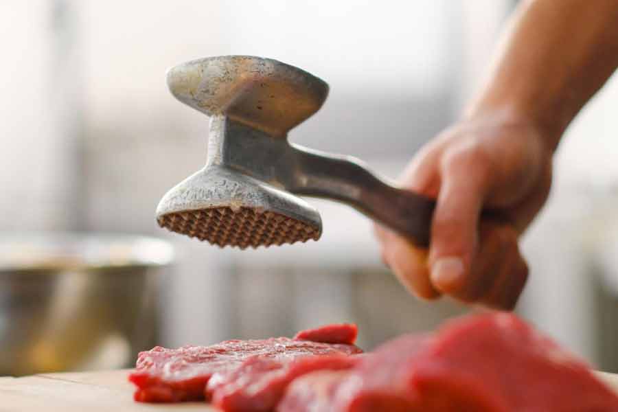 নমুনা পরীক্ষা করে অন্য এক বিজ্ঞানী অনুমান করেন যে টুকরোগুলি কোনও প্রাণীর মাংস নয়। আদতে তা নস্টক নামের একটি সায়ানোব্যাকটেরিয়া।