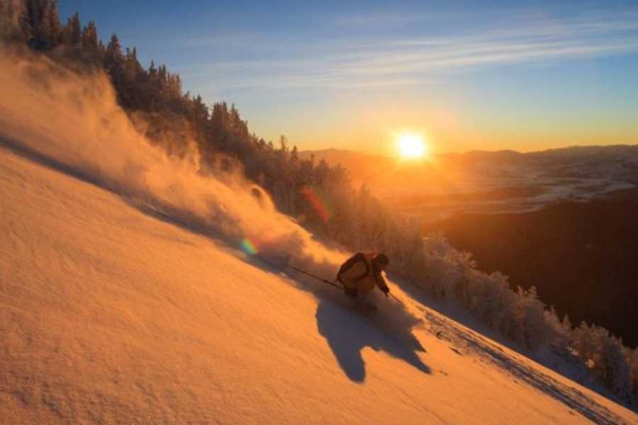 এখান থেকে একের পর এক তুষারাবৃত শৃঙ্গ দেখা, বিভিন্ন অ্যাডভেঞ্চার স্পোর্ট করার সুবর্ণ সুযোগ, এমনকি শীতকালে গোটা বরফে মোড়া আউলির নির্দিষ্ট জায়গায় স্কিইইং করার বিরল বন্দোবস্ত— মিলেমিশে আপনাকে এক অপার্থিব আনন্দে বুঁদ করে রাখবে। 