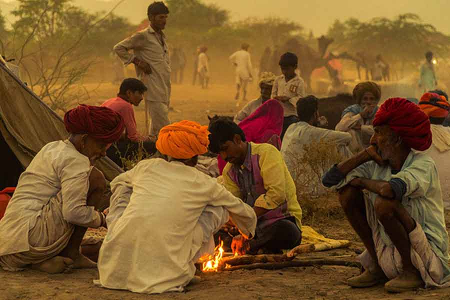 Those cold days at Rajasthan