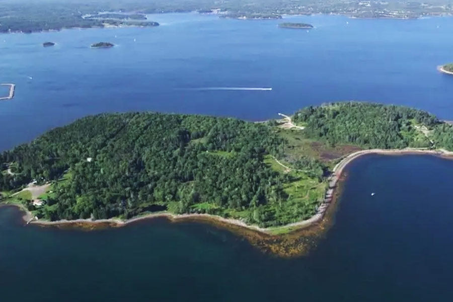 সত্যিই কি রয়েছে গুপ্তধন? ২০০ বছরেরও বেশি সময় ধরে ওক দ্বীপে সন্ধান চালিয়ে আসছে বিভিন্ন দল। বার বার হতাশ হয়ে ফিরেছে তারা। তবু থামেনি অভিযান। ওক গাছের জঙ্গলে কি রয়েছে সেই সাত রাজার ধন?