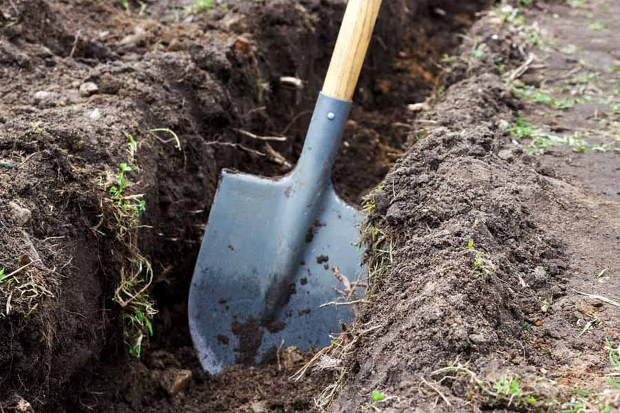 দ্বীপের ওই অংশ খনন করতে শুরু করেন ড্যানিয়েল এবং তাঁর দুই বন্ধু। খনন করে মাটির নীচ থেকে উদ্ধার হয় ওক গাছের গুঁড়ি, পাথরের চাই। দীর্ঘ দিন ধরে চলেছিল সেই খননকাজ। খরচ হয়েছিল প্রচুর টাকা। যদিও নিট ফল ছিল শূন্য।