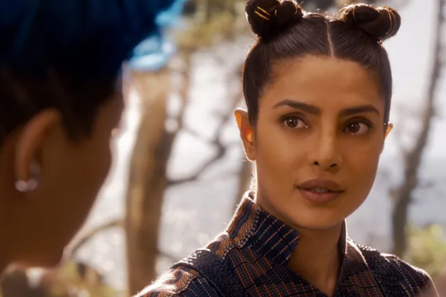 বিদেশে যাওয়ার পর মিউজ়িক ভিডিয়োর পাশাপাশি একাধিক হলিউডি ছবি এবং ওয়েব সিরিজ়ে অভিনয় করতে দেখা যায় প্রিয়ঙ্কাকে।