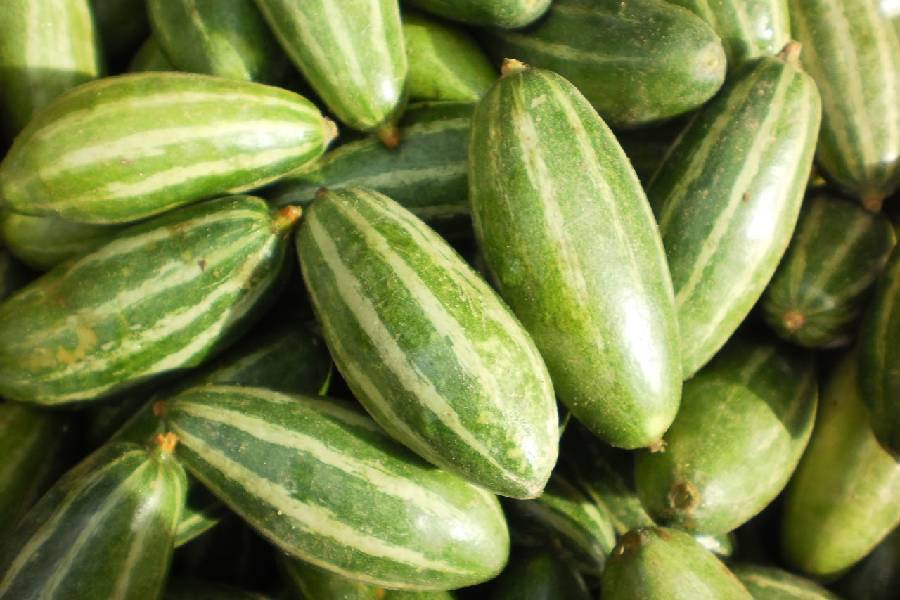 Seven surprising health benefits of potol or pointed gourd.
