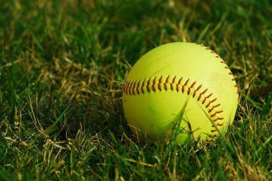 সফট বল। এ ধরনের নরম বল দু'হাতে ধরে এবং পায়ে মেরে বাচ্চার যথাক্রমে হাতের গ্রিপিং এবং পায়ের ব্যালেন্স দৃঢ় হয়।