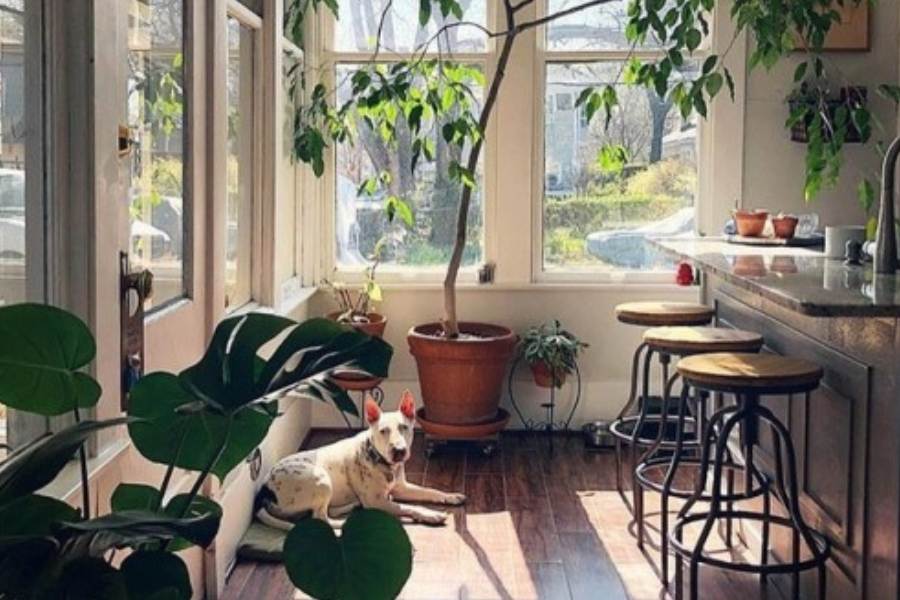 পৃথিবীর এখন দু’টো প্রধান অভিশাপ— বিশ্ব জোড়া উষ্ণায়ণ আর বাতাসে দূষণ! একটা বাড়ি,  কয়েকটা বাড়ি নিয়ে পাড়া,  অনেকগুলি পাড়া নিয়ে অঞ্চল,  অনেক অঞ্চল নিয়ে শহর,  অনেক শহর নিয়ে রাজ্য,  অনেক রাজ্য নিয়ে দেশ,  অনেকগুলি দেশের সমাহার আমাদের এই পৃথিবী। 