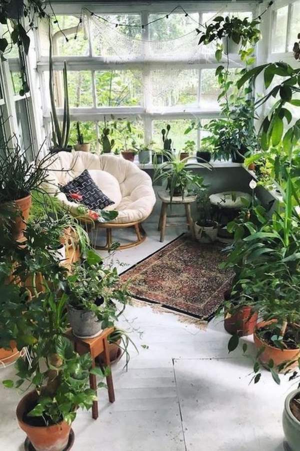 তাই দূষণ দূর করতে, বাতাসের দূষিত কণা শোষণ করতে,  বাতাসে অক্সিজেনের মাত্রা বাড়াতে,  আমাদের শ্বাস-প্রশ্বাসে সহজাত সাবলীলতা বৃদ্ধিতে আসলে দরকার একেবারে তৃণমূল স্তরে, মানে বাড়ি থেকে উষ্ণায়ন তাড়ানো, বাড়ির বাতাসে বাড়তি অক্সিজেন বাড়ানোর চেষ্টা করা।