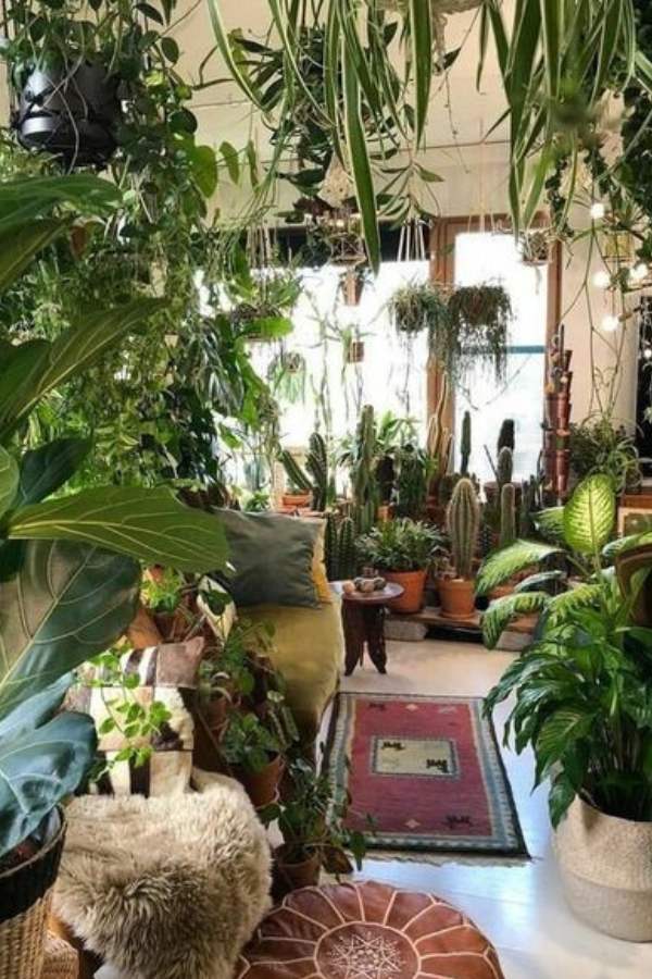 আর তার সেরা উপায় হল,  বাড়িতে এমন কিছু বিশেষ গাছ লাগানো,  যেগুলি ঘরে অক্সিজেন সরবরাহ করে,  দূষণ রোধে করে, বাতাসের ক্ষতিকারক উপাদান দূর করে গৃহ পরিবেশকে পরিশুদ্ধ করতে পারে। এমন কয়েকটা ভীষণ প্রয়োজনীয় গাছের সুলুকসন্ধান দিচ্ছে আনন্দবাজার অনলাইন।