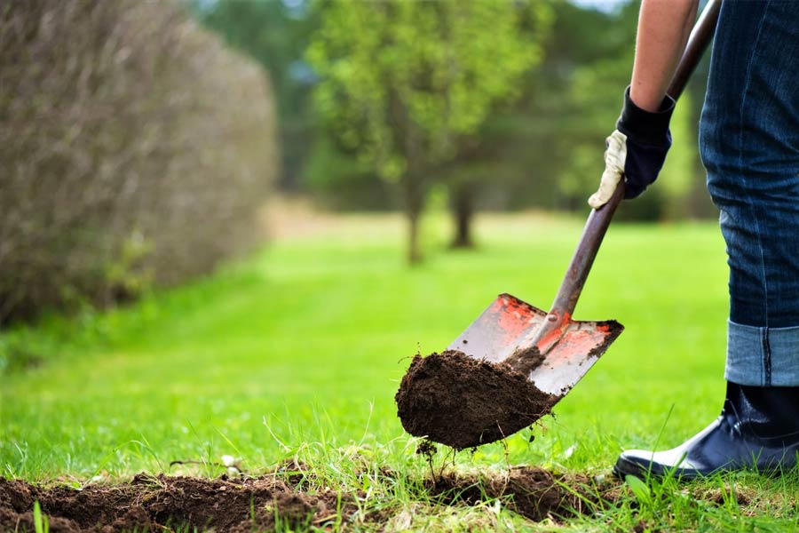 বিংশ শতকের গোড়ায় রাতারাতি বদলে গিয়েছিল নেভাদার এই নির্জন জায়গাটা। প্রতি দিনই কাতারে কাতারে মানুষের ভিড় জমত। সোনার খোঁজে তাঁবু গেড়ে শহরের মাটি খোঁড়াখুঁড়ির কাজে নেমে পড়তেন তাঁরা। এক সময় তো এর নাম হয়ে গিয়েছিল ‘তাঁবুর শহর’।