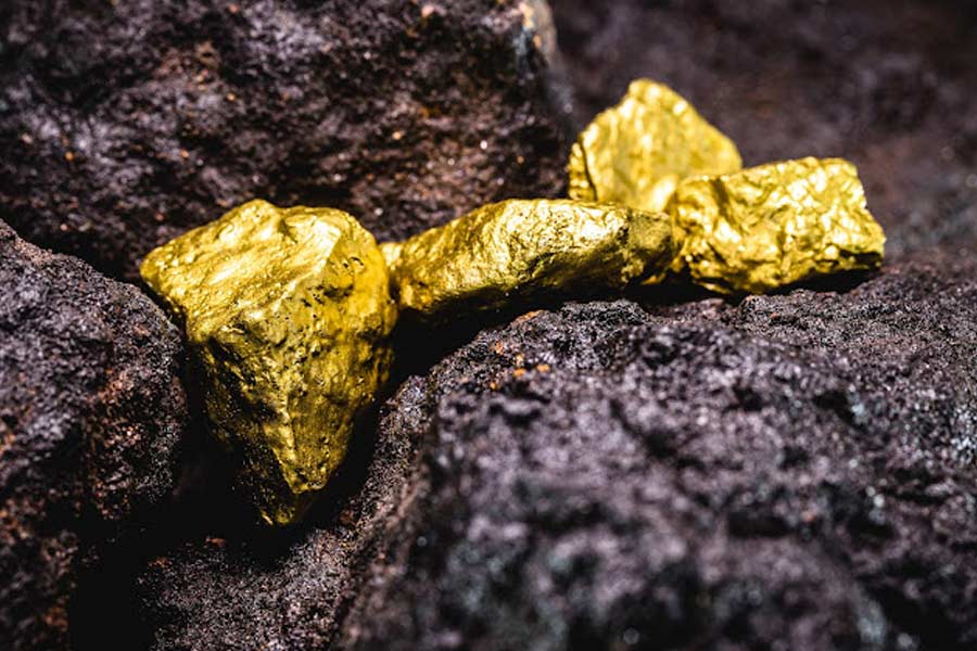 ওই চিঠিটি কি রসের কাছে পৌঁছে দিতে চেয়েছিলেন অজ্ঞাতপরিচয় ব্যক্তি? তেমনই অনুমান সংবাদপত্রটির। অনেকের মতে, গোল্ডফিল্ডে সোনার খোঁজে এসেছিলেন ওই ভবঘুরে। যদিও এ সবের আসল ঘটনা আজও অজানা।