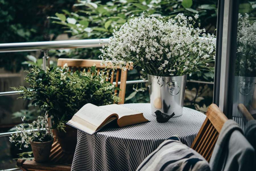 জুঁই ফুল গাছ এই ফুল গন্ধ সবার কাছে পরিচিত। মনভোলানো গন্ধ যে কারও নজর কেড়ে নিয়ে আসবে। সাদা ফুলগুলি পুজোর আলোর সময় আলাদা দেখতেও লাগবে। বাস্তু অনুসারে এই গাছ অনেক ইতিবাচক শক্তি বয়ে আনে।