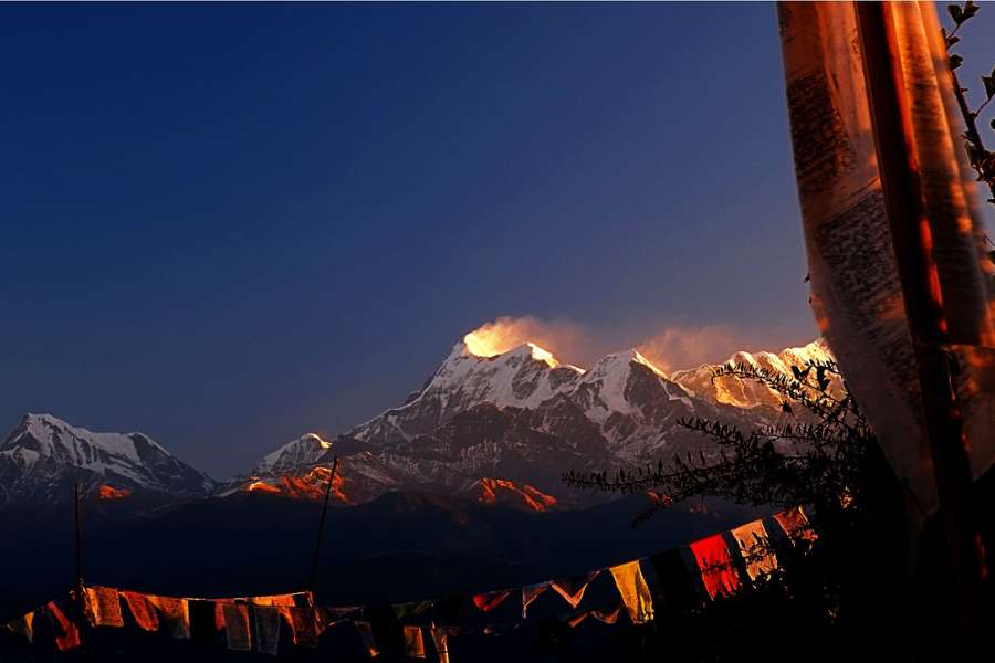 ইতিহাসের দিকে থেকেও এ এক বিচিত্র এলাকা। ইতিহাসবিদদের মতে,  গাড়োয়াল সেনা আর কুমায়ুন চাঁদ রাজবংশের সৈন্যদের মধ্যে ১৫৯০ সালে যে লড়াই হয়েছিল, তার পটভূমি এই গোয়ালদাম। নানা বংশের শাসনাধীনও থেকেছে এই গ্রাম। চাঁদ,  গোর্খার পরে ব্রিটিশ শাসন। স্বাধীন ভারতে গোয়ালদাম পড়ে উত্তরাখণ্ডর রাজ্যের চামেলি জেলায়।