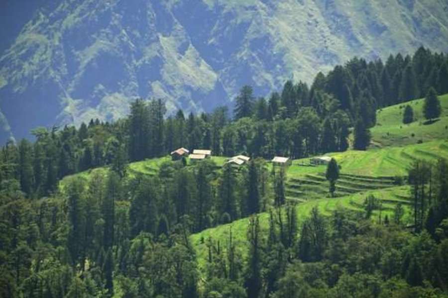 কৌশানি থেকে মাত্র ২০ কিলোমিটার দূরে বৈজনাথ মন্দির এখানকার অন্যতম সেরা দ্রষ্টব্যস্থান। ছোট-বড়-মাঝারি নানা মন্দিরের সমাহার বৈজনাথ মন্দির। এখানকারই গড়ুর গঙ্গা এবং গোমতী নদীর সঙ্গমস্থলে ভগবান শিব আর সতীর বিবাহ হয় বলে মানুষের বিশ্বাস।