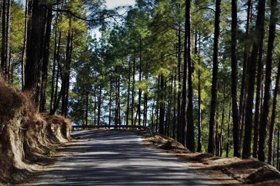 স্থানীয় মহিলারা অজস্র ধরনের নানা হস্তশিল্পে পটু। হাতে বানানো নানা দ্রব্যাদি গোয়ালদামের বাজারে কিনতে পাওয়া যায়।