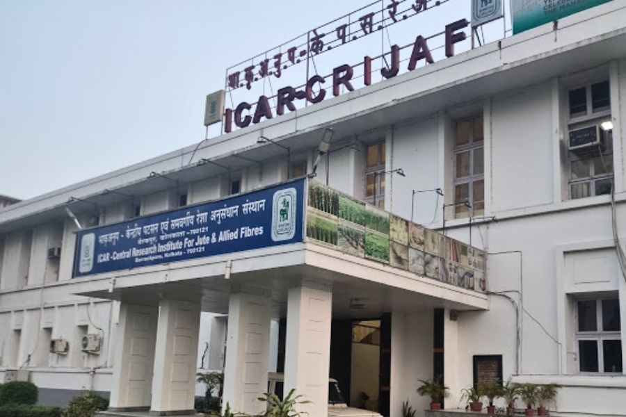 ICAR-Central Research Institute for Jute and Allied Fibres, Barrackpore.