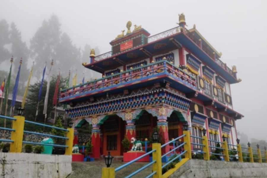 লাটপাঞ্চারের দু’কিলোমিটার দূরেই সিনসেরিদাড়া ভিউ পয়েন্ট। আকাশ পরিষ্কার থাকলে যেখান থেকে দেখা মিলবে তুষারাবৃত চির নতুন কাঞ্চনজঙ্ঘার। লাটপাঞ্চার থেকে ঘুরে আসতে পারেন আশপাশের অহলদাড়া, লাটকুঠি, পাঁচপোখরি, লেপচা মনাস্ট্রি-তেও।