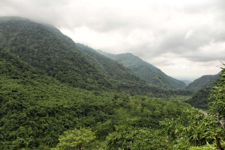 কীভাবে যাবেন : ট্রেনে নিউ জলপাইগুড়ি বা শিলিগুড়ি স্টেশনে নেমে, ভাড়া গাড়িতে সেবকের রাস্তা ধরে, কালিম্পং থেকে কালিঝোরা হয়ে বাঁদিকে ঘুরে ১৩ কিলোমিটার এগোলেই লাটপাঞ্চার। শিলিগুড়ি থেকে লাটপাঞ্চারের দূরত্ব ৪১ কিলোমিটার। গাড়ি ভাড়া প্রায় ৩০০০ টাকার আশেপাশে। 