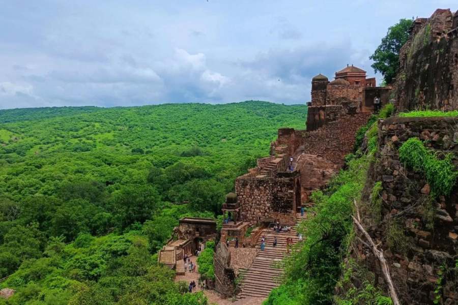 আপনারও যদি অত বেশি দুর্গ দেখতে একঘেয়ে লাগে, তাহলে রাজস্থানের তুলনায় অনেক কম পরিচিত, যাকে পরিভাষায় 'অফবিট' বলে, সেরকম পাঁচটা দুর্দান্ত জায়গা ঘুরে আসতে পারেন।