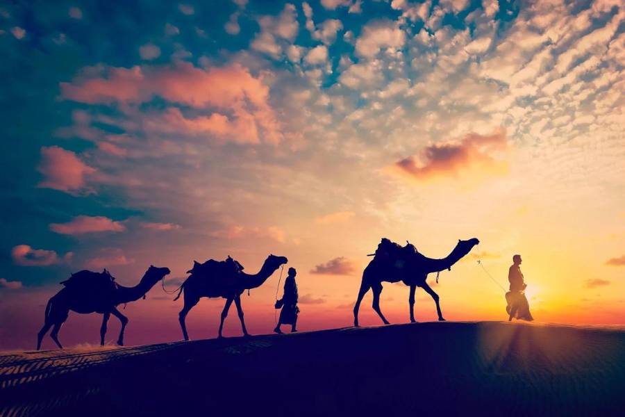 তাহলে চলুন, মন্দার বোসের মতো একঘেঁয়ে দুর্গের পর দুর্গ না দেখে, রাজস্থানের তুলনায় অল্পপরিচিত ৫টা দুর্দান্ত স্পট দেখতে!  এই প্রতিবেদনটি ‘আনন্দ উৎসব’ ফিচারের একটি অংশ।