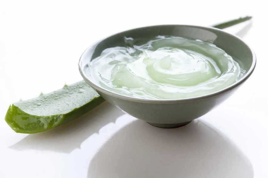 How to use aloe vera for winter hair care.