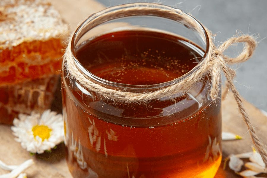 Why Israel is referred to as country of milk and honey 