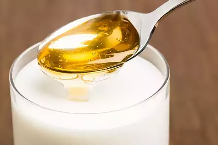 Why Israel is referred to as country of milk and honey 