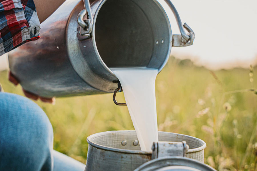 Why Israel is referred to as country of milk and honey 