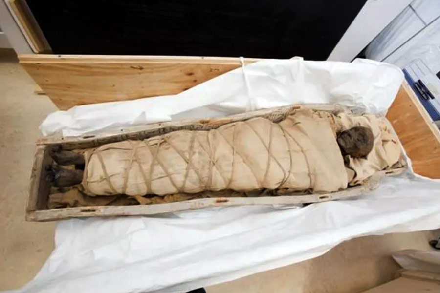 photo of Egypt's Pharaoh