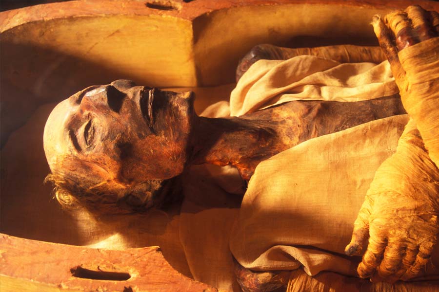 photo of Egypt's Pharaoh