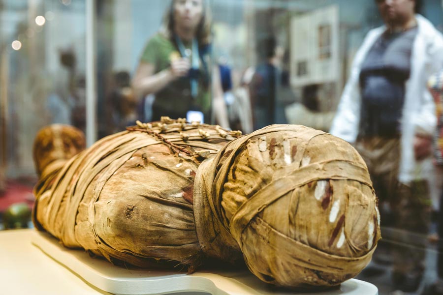 photo of Egypt's Pharaoh