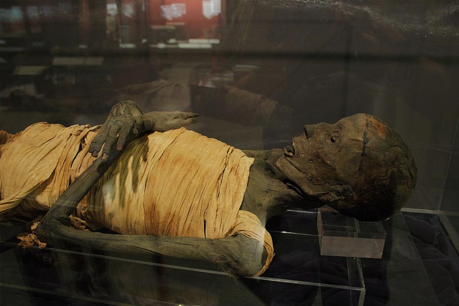 photo of Egypt's Pharaoh