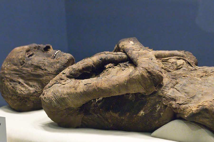 photo of Egypt's Pharaoh