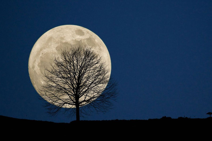Scientists say the Moon is drifting away from the Earth slowly 