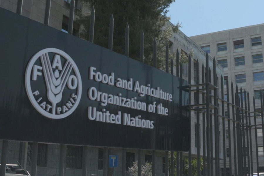 দ্য ইউনাইটেড নেশনস ফুড অ্যান্ড এগ্রিকালচার অর্গানাইজেশন (ইউএনএফএও) মনে করে, আছে। তাদের মতে এই দিনটি জরুরি। কারণ ওই কোটি কোটি মানুষের কথা মাথায় রেখেই এই দিনটি পালন করার কথা ভেবেছিল তারা।