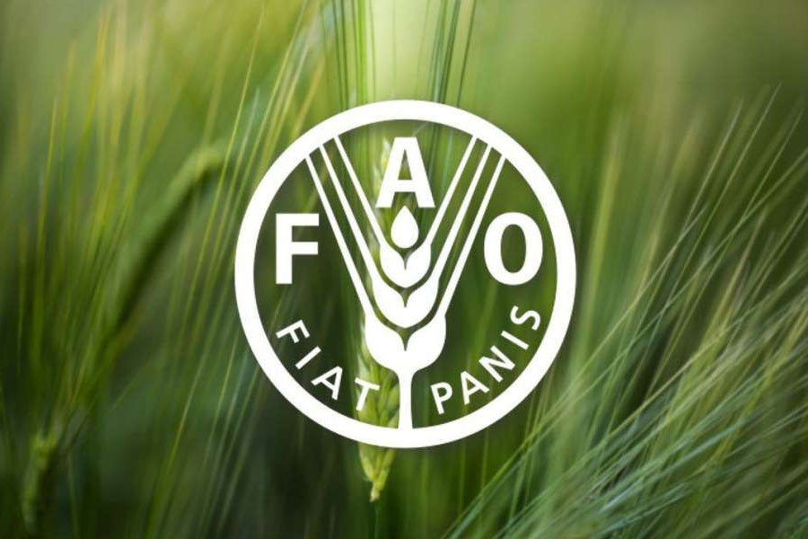 তাই প্রতি বছর বিশ্ব খাদ্য দিবস পালন করা হয় ইউএনফএওয়ের জন্মদিনেই।