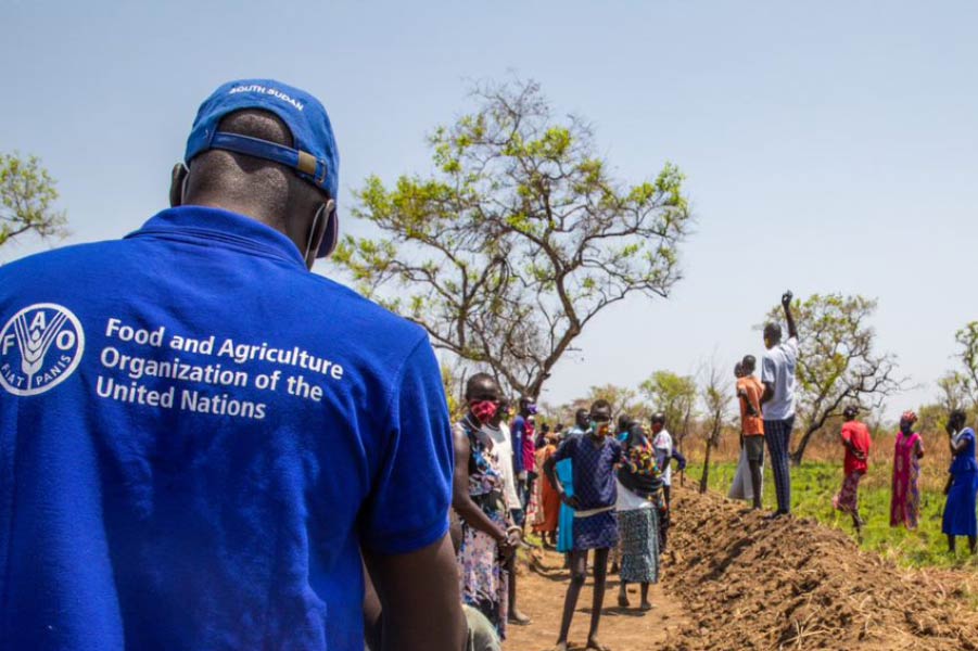১৯৪৫ সালের ১৬ অক্টোবর প্রতিষ্ঠিত হয়েছিল ইউএনএফএও। ১৯৭৯ সালের পর থেকে ওই দিনই পালন করা হয় বিশ্ব খাদ্য দিবস। সোমবার সেই দিন।