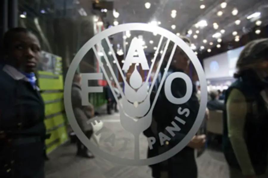 প্রতি বছরই বিশেষ একটি ভাবনাকে কেন্দ্র করে সচেতনতা বৃদ্ধির চেষ্টা করে এফএও। এ বারেও তার অন্যথা হয়নি।