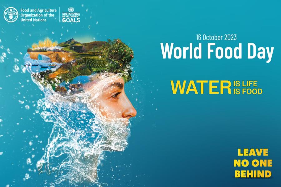 ২০২৩ সালের বিশ্ব খাদ্য দিবসের মূল বিষয় হল জল। জল আবার খাবার না কি— এই বলে প্রশ্ন তুলবেন যাঁরা, তাঁদের উত্তর আগে থেকেই দেওয়া হয়েছে খাদ্য দিবসের এ বছরের ট্যাগলাইনে।