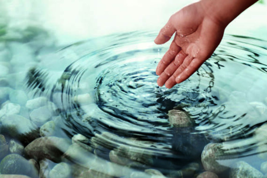 তাদের বার্তা স্পষ্ট— খাবার নিয়ে উৎসবের বদলে বরং পানীয় জলের স্থায়ী ব্যবস্থা দিয়েই হোক এ বছরের খাদ্য দিবসের উদযাপন।