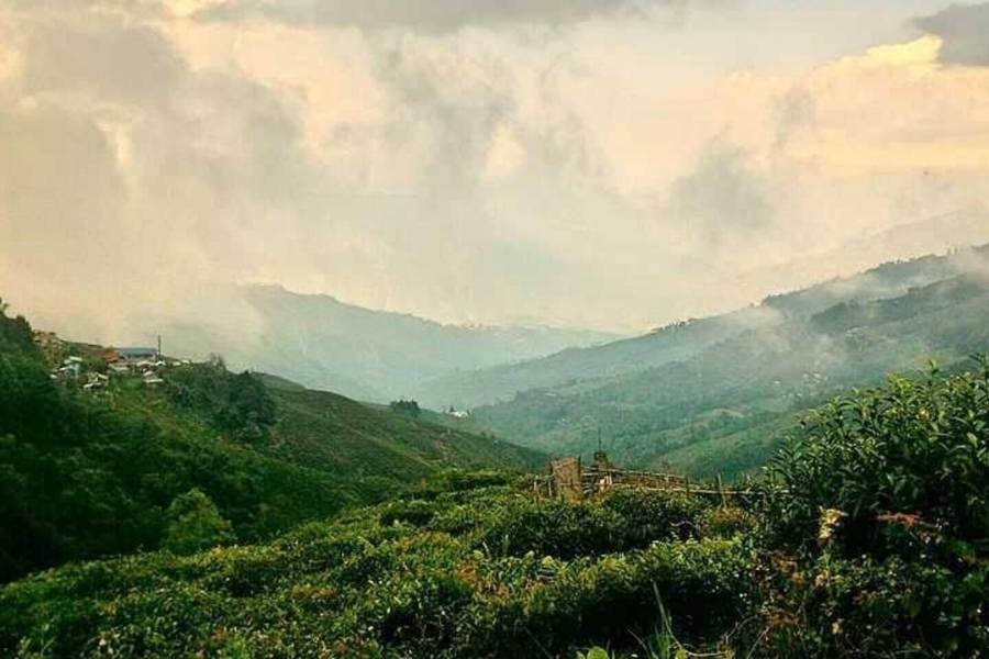 বলতে গেলে পাশাপাশি, একটার পর একটা, যেন পড়শি! এক নজরে উত্তরাখন্ডের শৈলশহর গুলির খোঁজ এই প্রতিবেদনে। 