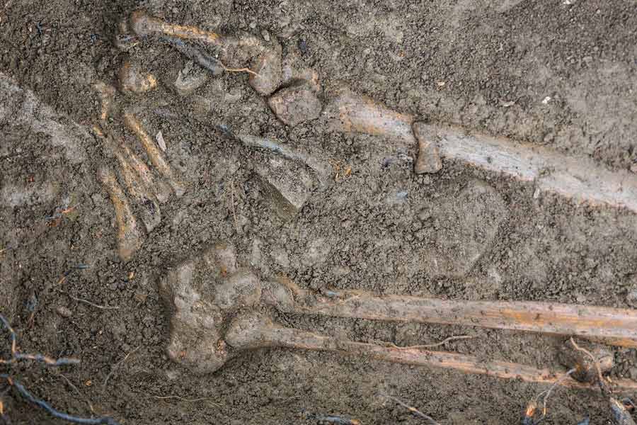 Timeline of Nithari Case from 2006 to 2023