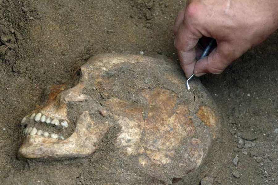 Timeline of Nithari Case from 2006 to 2023