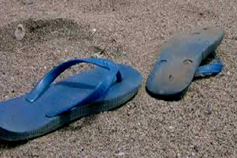 Timeline of Nithari Case from 2006 to 2023