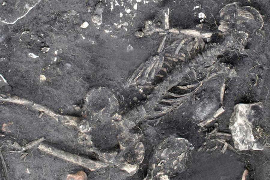 Timeline of Nithari Case from 2006 to 2023